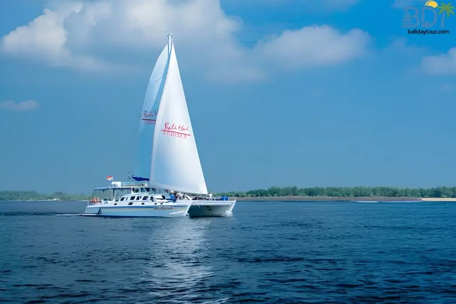 Experience luxury sailing to Nusa Lembongan featuring drift-snorkeling at Mangrove Point, mangrove canoeing, seaweed village tours, and beach club dining.