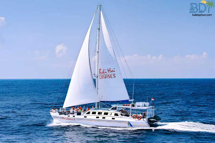 Sail aboard a luxury catamaran from Nusa Lembongan to Crystal Bay on Nusa Penida for guided snorkeling, open-deck picnic dining, and channel views.