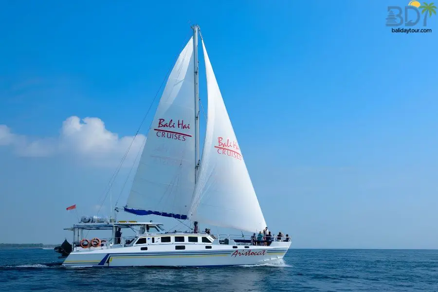 Sail aboard a luxury 64-foot catamaran to Nusa Lembongan for beachfront dining, guided coral restoration, village tours, and watersports.