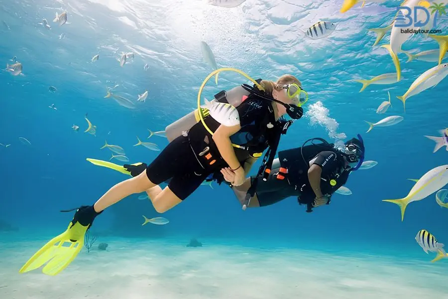 Bali diving