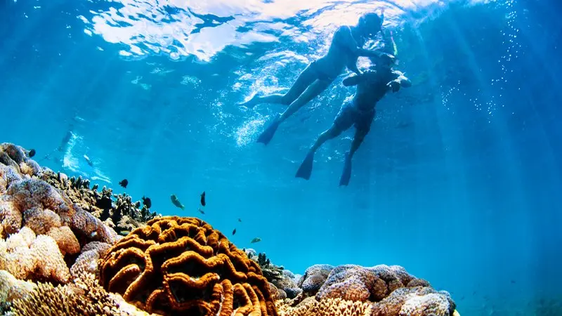 bali hai snorkeling penida Bali hai snorkeling penida