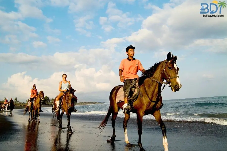 Bali horse riding