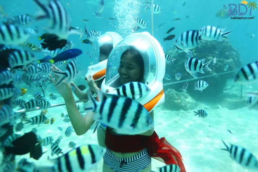 Bali ocean walker