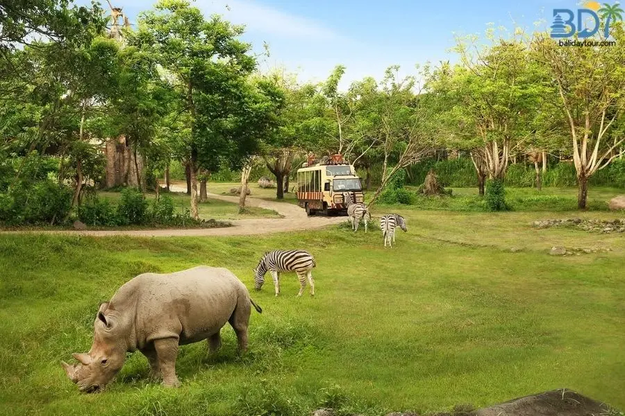 Bali safari ubud tour