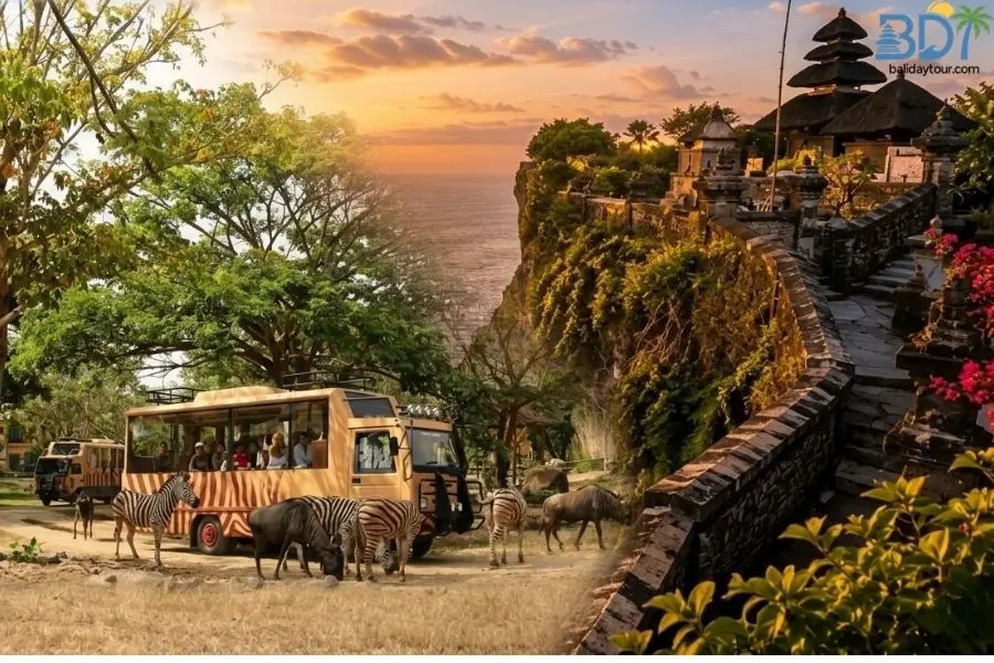 Bali safari uluwatu tour