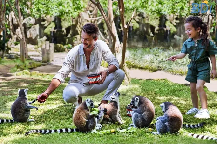Bali zoo