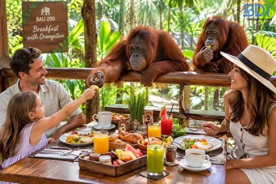 Breakfast with orangutans