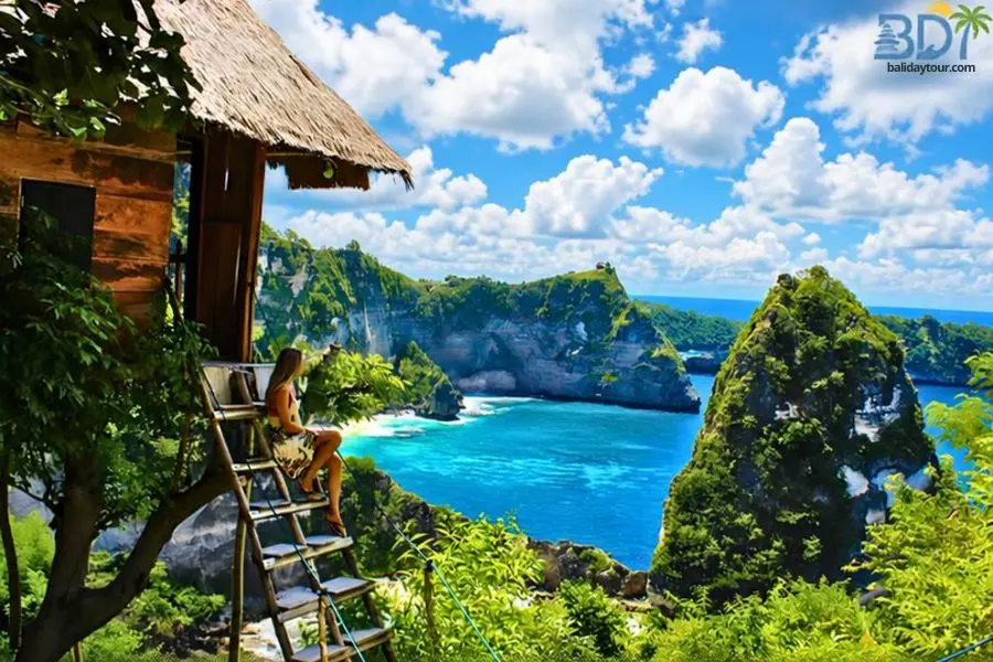 tree house nusa penida Tree house nusa penida